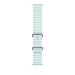 Apple 49mm Ice Blue Ocean Band - Natural Titanium Finish