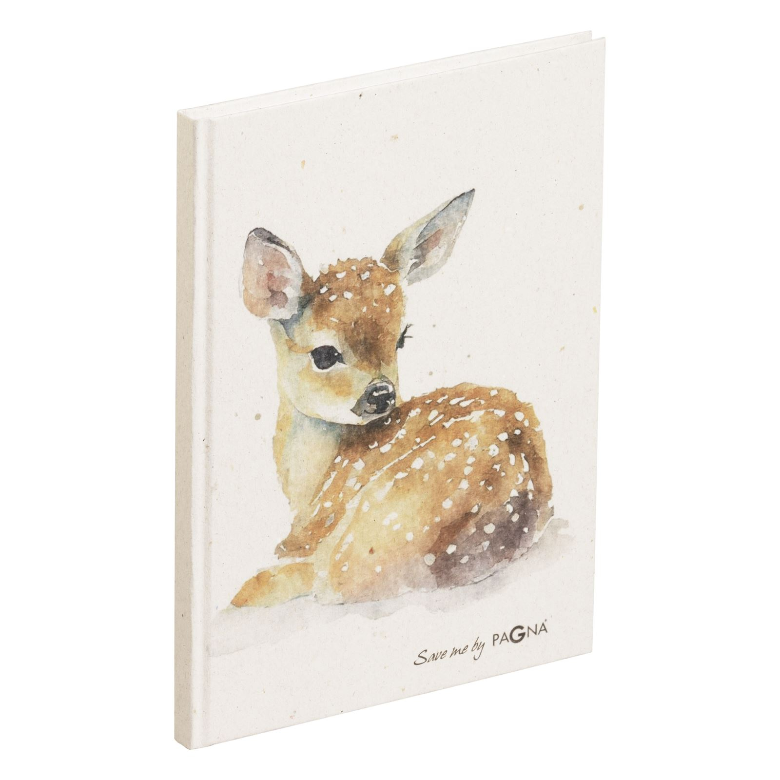 Pagna 26097-15 writing notebook A5 128 sheets Multicolour