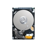 Seagate EE25 Series EE25.2 Series™ 2.5-inch HD 40GB PATA internal hard drive 5400 RPM 8 MB 2.5"