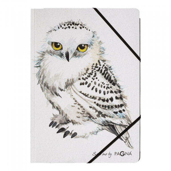 Image of Pagna 21650-25 folder Cardboard Multicolour A4