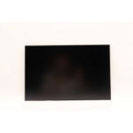 Lenovo 16" WQXG LCD screen for