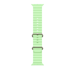 Apple Natural Titanium Finish Band Green Fluoroelastomer, Titanium