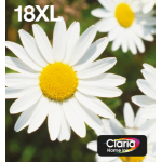 Epson Daisy Multipack 4-colours 18XL EasyMail