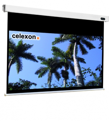 Celexon - Electric Professional - 270cm x 152cm - 16:9 - Electric Projector Screen