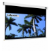Celexon - Electric Professional - 194cm x 109cm - 16:9 - Electric Projector Screen