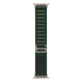 Apple 49mm Dark Green Alpine Loop - Large - Natural Titanium Finish