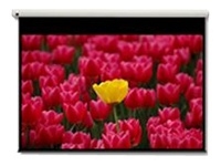 Optoma Pantalla 16:9 2656 x 1494mm projection screen 3.05 m (120"