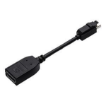 PNY Mini DisplayPort/DisplayPort Black