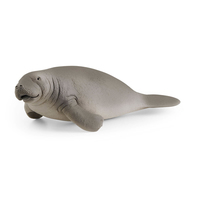 Image of Schleich Wild Life Manatee Toy Figure 3 to 8 Years Grey 14839
