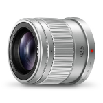 Panasonic H-HS043E MILC Telephoto lens Silver