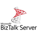 Microsoft BizTalk Server Government (GOV) 2 license(s)