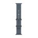 Apple Natural Titanium Finish Band Blue Fluoroelastomer, Titanium