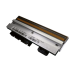 Citizen print head