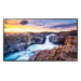 Samsung QHB Premium 4K Signage 43"