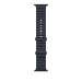 Apple 49mm Navy Ocean Band - Natural Titanium Finish