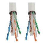 Tripp Lite N222-01K-WH networking cable White 12000" (304.8 m) Cat6 U/UTP (UTP)