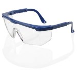 BEESWIFT Portland Safety Spectacles Clear